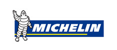 Preview michelin logo